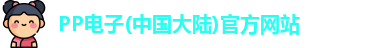 PP电子